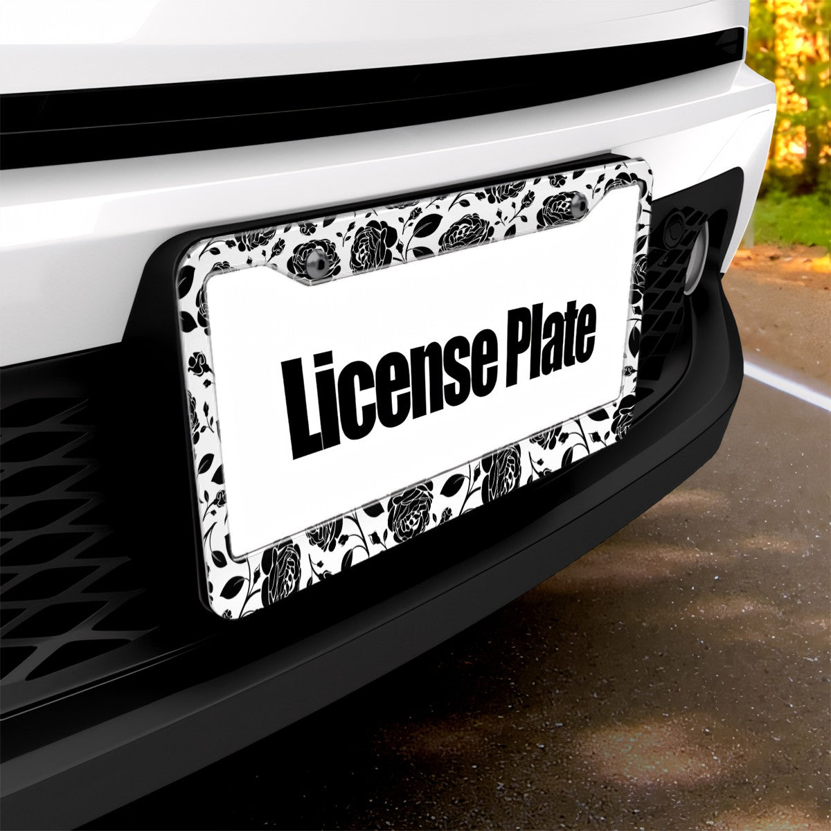 2-Hole Round License Plate Frames 2 pcs