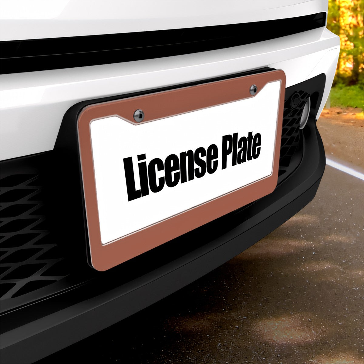 2-Hole Round License Plate Frames 2 pcs