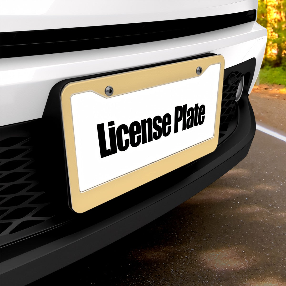 2-Hole Round License Plate Frames 2 pcs